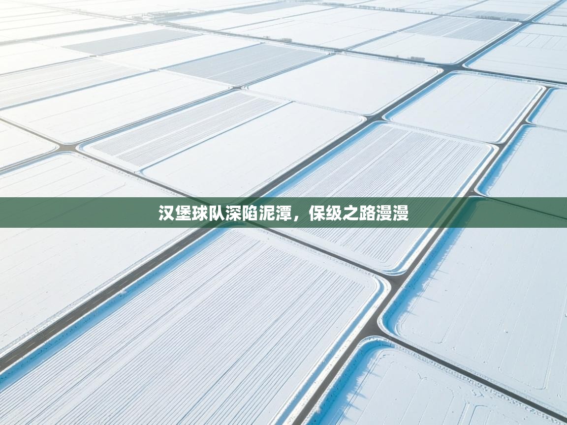 汉堡球队深陷泥潭，保级之路漫漫  第1张