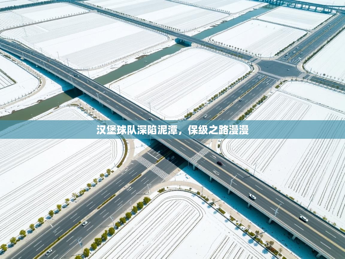 汉堡球队深陷泥潭，保级之路漫漫  第2张