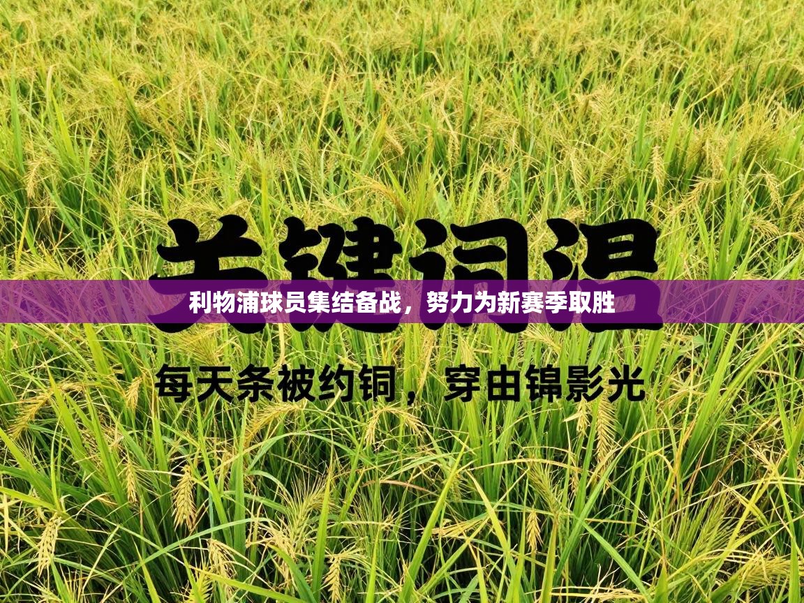 利物浦球员集结备战，努力为新赛季取胜  第2张