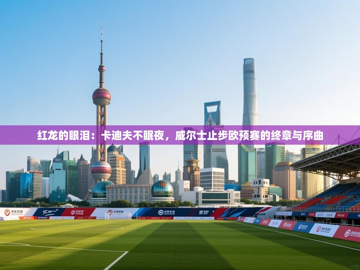 红龙的眼泪：卡迪夫不眠夜，威尔士止步欧预赛的终章与序曲  第2张