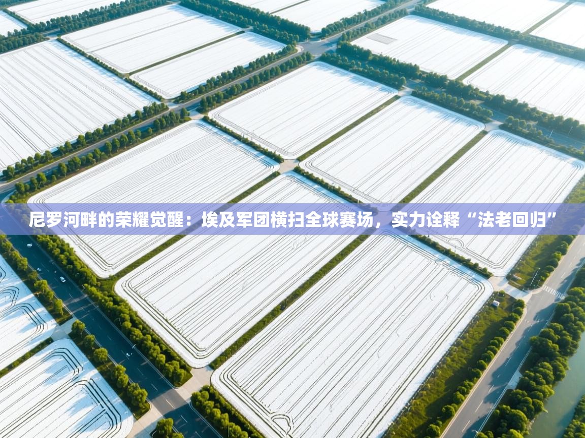 尼罗河畔的荣耀觉醒：埃及军团横扫全球赛场，实力诠释“法老回归”  第1张