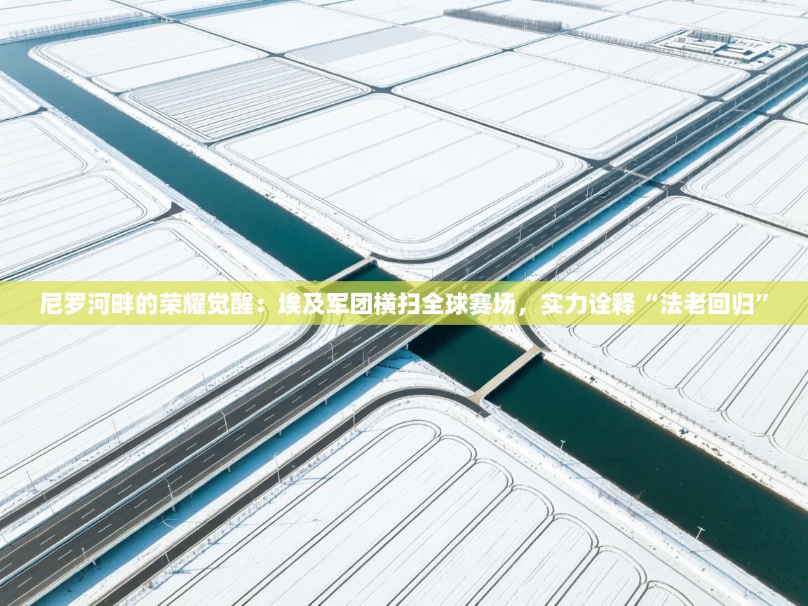 尼罗河畔的荣耀觉醒：埃及军团横扫全球赛场，实力诠释“法老回归”  第2张