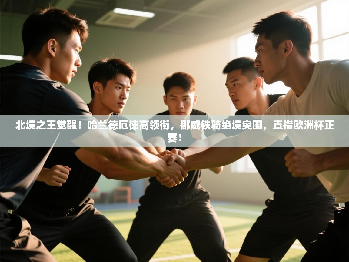 北境之王觉醒！哈兰德厄德高领衔，挪威铁骑绝境突围，直指欧洲杯正赛！  第2张