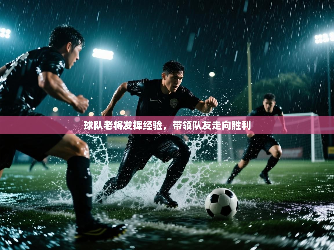 球队老将发挥经验,带领队友走向胜利 第1张
