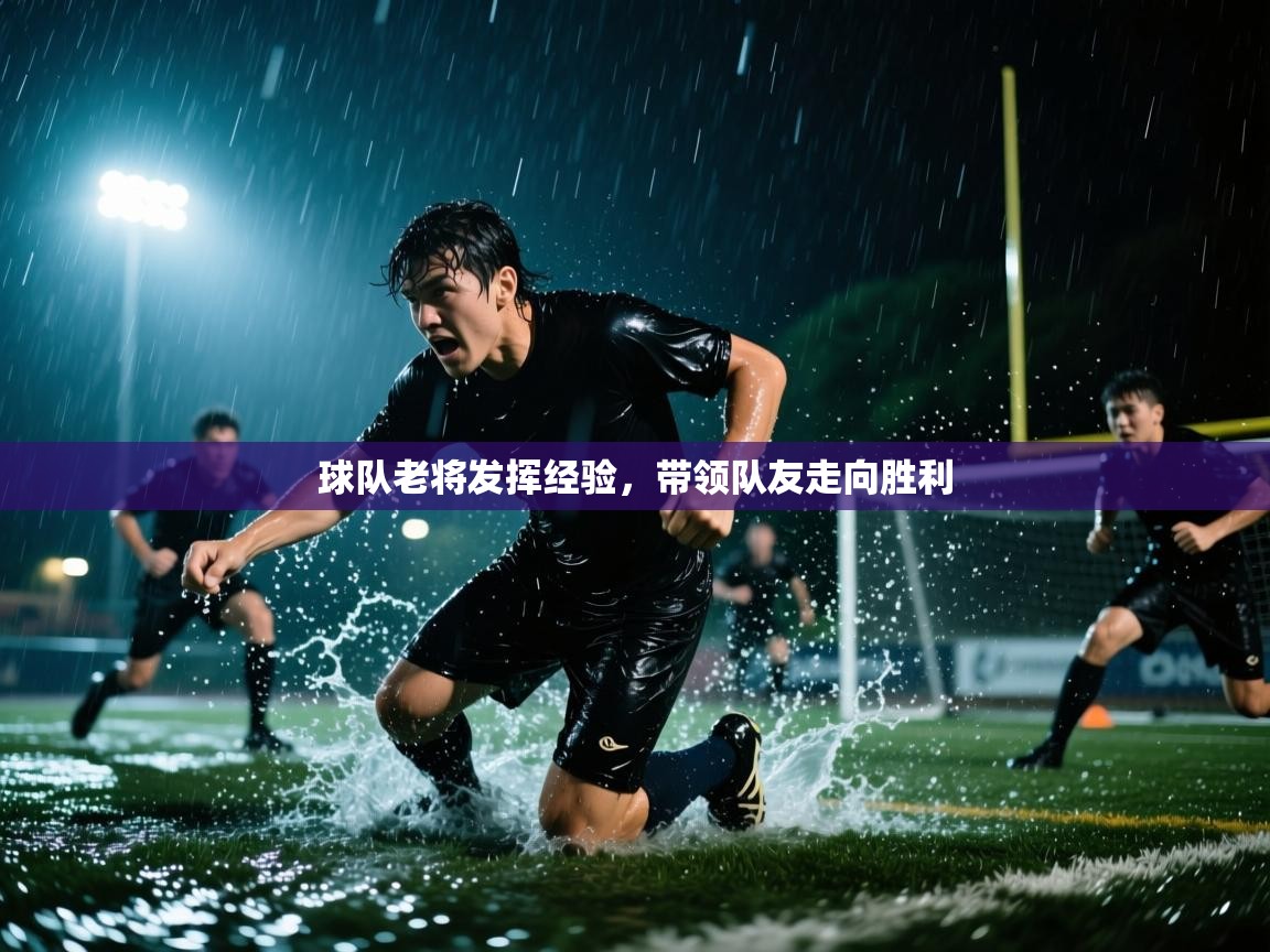 球队老将发挥经验,带领队友走向胜利 第2张