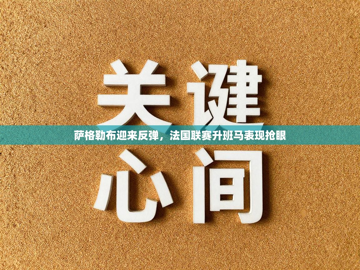萨格勒布迎来反弹，法国联赛升班马表现抢眼  第2张