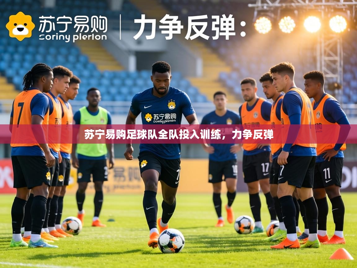 苏宁易购足球队全队投入训练,力争反弹 第2张