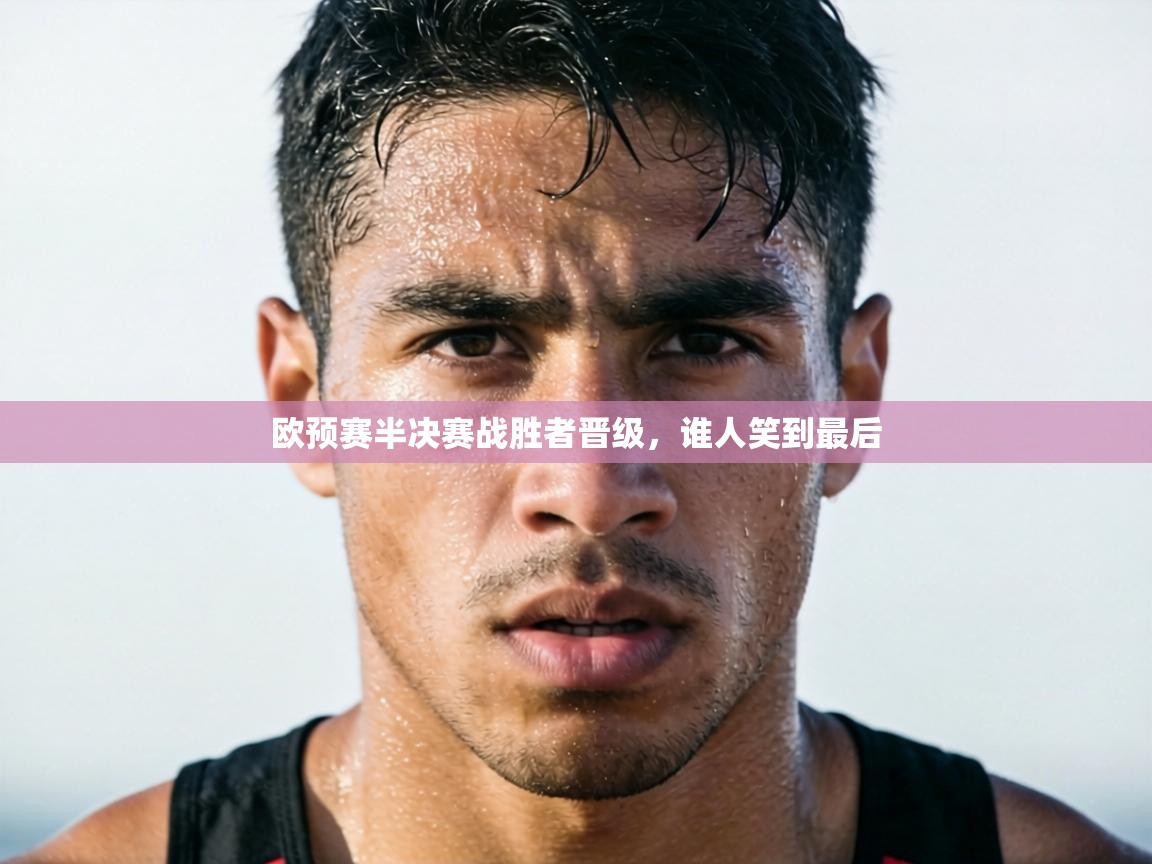 欧预赛半决赛战胜者晋级，谁人笑到最后  第2张